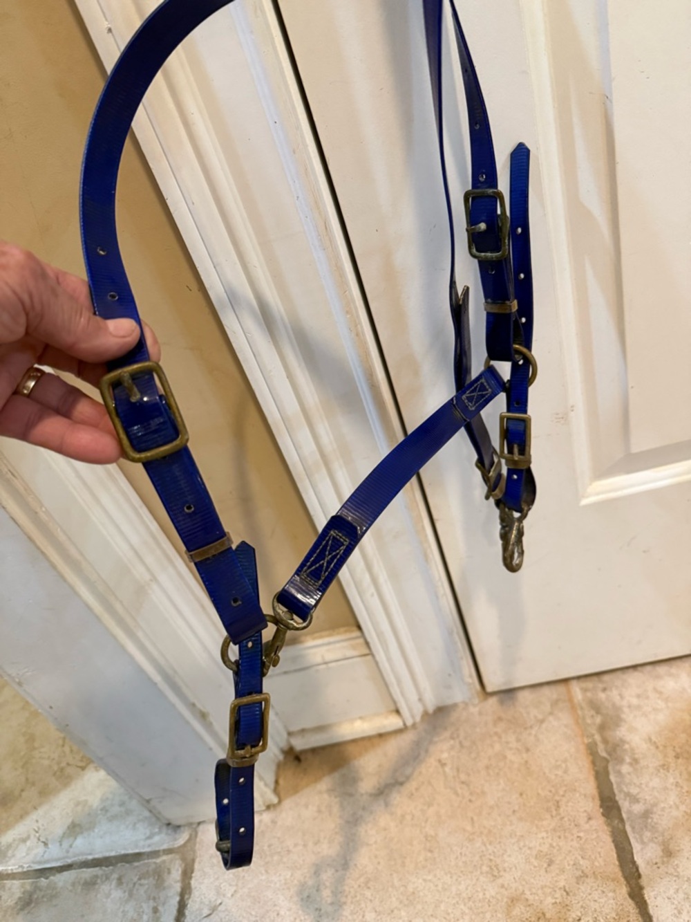 Horse size Martingale tack Royal Blue/ purple Biothane Brass Hardware